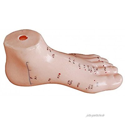 66fit Akupunkturmodell des Fußes – Druckpunkte und Meridiane