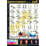 Eazy How To 3er-Pack Bundle-Übungs-Trainings-Plakat Big 51,0 x 73,0 cm Train Ausdauer Tone Build Kraft & Muskel Home Gym-Diagramm