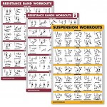 Palace Learning Widerstandsbänder Trainingsbänder Volumen 1 & 2 + Suspension-Übungen Poster-Set – Set mit 3 Workout-Diagrammen