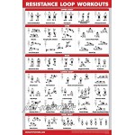 Palace Learning Yoga-Posen-Poster Volumen 1 2 und 3 + Widerstandsschlaufen Workout-Übungen 4 Stück