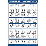 QuickFit Hanteltraining und Gleitbank-Übungsposter-Set kompatibel mit Total Gym & Weider Ultimate Body Works 2 Stück