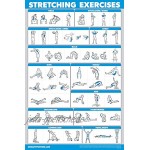 QuickFit Übungsposter-Set Widerstandsbänder Volumen 1 & 2 Hantel Suspension Kettlebell Stretching Körpergewicht Langhantel Yoga-Posen Gymnastikball