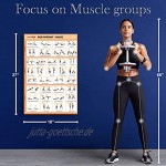 SPORTAXIS Laminierte Poster mit farbigen Illustrationen für Männer und Frauen Workout Bodyweight Basic Bodyweight Advanced Yoga Bauchmuskeln Muskulatur Diagramm 45,7 x 68,6 cm 5 Stück