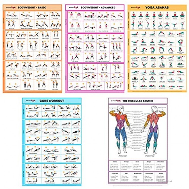 SPORTAXIS Laminierte Poster mit farbigen Illustrationen für Männer und Frauen Workout Bodyweight Basic Bodyweight Advanced Yoga Bauchmuskeln Muskulatur Diagramm 45,7 x 68,6 cm 5 Stück