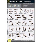 Varadyle KKRpergewicht üBung Poster Set Laminiert 2 Chart Set MMNner und Frauen KKRper Gewicht Workouts für Haus Gym Fitness