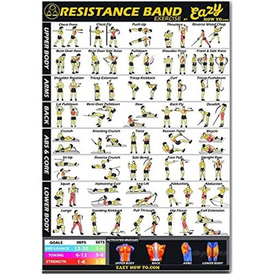 Workout-Poster von Eazy How To Mit Widerstandsband-Übungen groß: 51 x 74 cm für Ausdauertraining Muskelaufbau und -stärkung für Zuhause und das Fitnessstudio