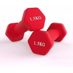 Neopren-Hanteln für Zuhause Fitnessstudio Fitness 2 Stück – 1 kg