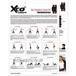 XCO-TRAINER® Shape Set 2 x XCO-Trainer 2 x Handschlaufen 1x Trainingsplan