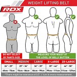 RDX 4 Gewichthebergürtel Rindsleder Fitness Gym Trainingsgürtel Bodybuilding Krafttraining MEHRWEG