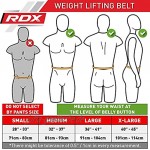 RDX Gewichthebergürtel Neopren Fitness-Gürtel Geeignet Für Bodybuilding Weightlifting Gewichtheben & Krafttraining Rückenunterstützung Trainingsgürtel Powerlifting Gym Belt MEHRWEG