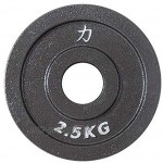 Strengthshop Riot Gusseisenscheiben 1.25 kg 5 kg Paar Cast Iron Olympic 50mm Plate Set