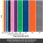 GORILLA SPORTS® Widerstandsband aus Naturlatex 208 x 0,45 cm Einzeln Set – Fitnessbänder in 10 verschiedenen Stärken Farben