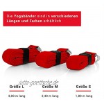 INTEXSOL – Yoga Gurt Made in Germany Stabiles Yoga Band 1,80m bis 3m mit nickelfreiem Verschluss aus 2 D-Ringen Yogagurt 3m für Anfänger & Profis für Intensive Dehnungen