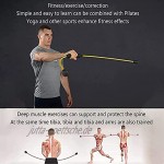 Sport Schwingstab Fitness Swingstick Verbesserte Version Gewichtstrainingsstange mit Gewichten zum Dehnen von Gewichtsübungsstangen Body Toning Krafttrainingsstangen zum Trainieren der Tiefenmuskula