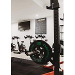 Septagon Sports® Premium A1 Poster Wandbild für Sling Trainer mit ohne Umlenkrolle 30 Übungen für den ganzen Körper Kraft und Functional Training Übungsposter Workout XXL…