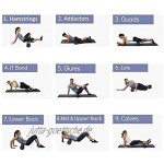 Faszien Set inkl. 1X Faszienball 1x Mini Faszienrolle 1x Faszienrolle,2X Duoball [5-teiliges] Kombi-Set für eine gezielte tiefenwirksame Massage von Faszien und die Regeneration der Muskeln